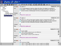 Cogitum Co-Citer Screenshot